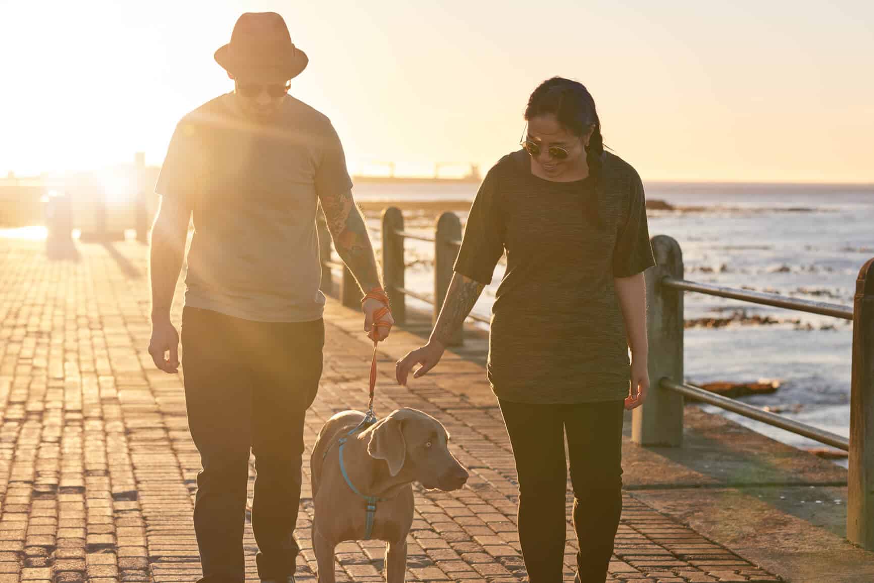 man and woman couple walking dog on boardwalk at sunset