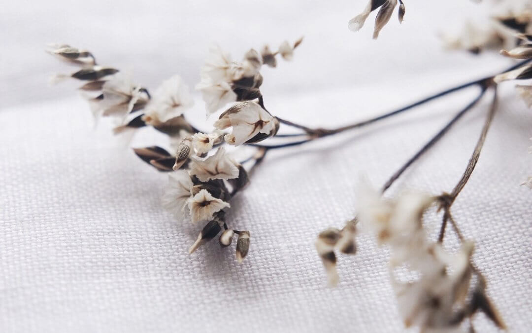 Why Hope Is So Important to Our Happiness, Health, and Success.