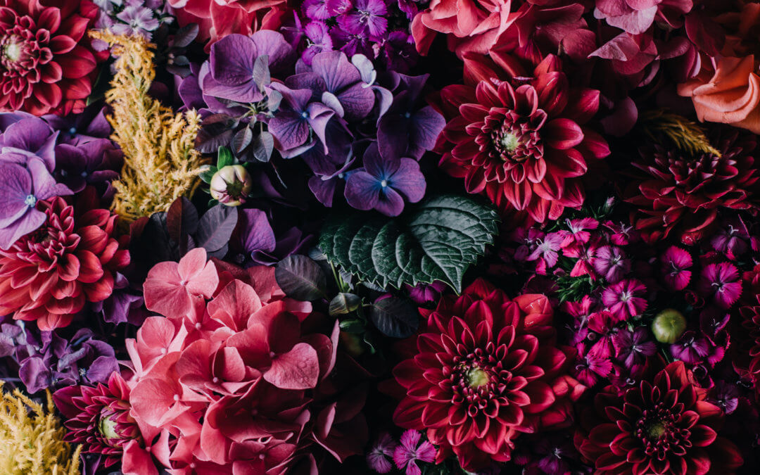 Quick Tip: “Pruning” To Combat Overwhelm
